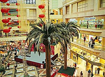 《孤岛惊魂6：年度版》推出 售价120美元